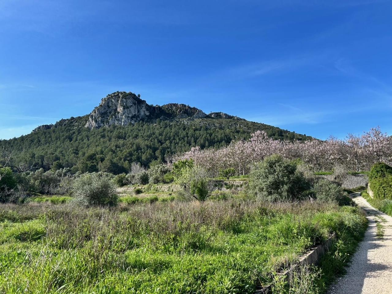 Casa Lima Villa Orba Luaran gambar